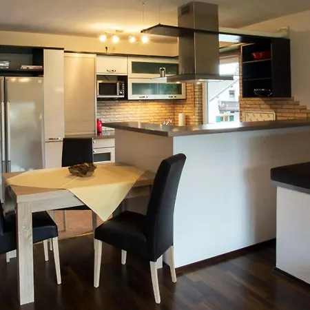 Bergspitze 公寓 加爾米施-帕滕基興